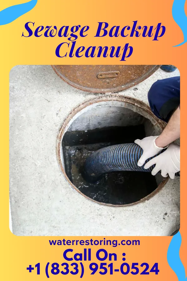 Sewage Backup Cleanup in Kirkman, IA